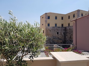 Vista desde la propiedad