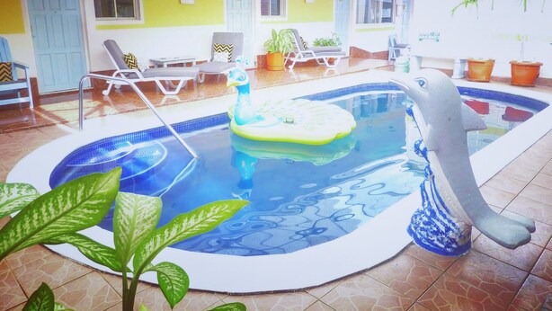 An indoor swimming pool with lounge chairs and potted plants. - Hotel Ivania's (Masaya)