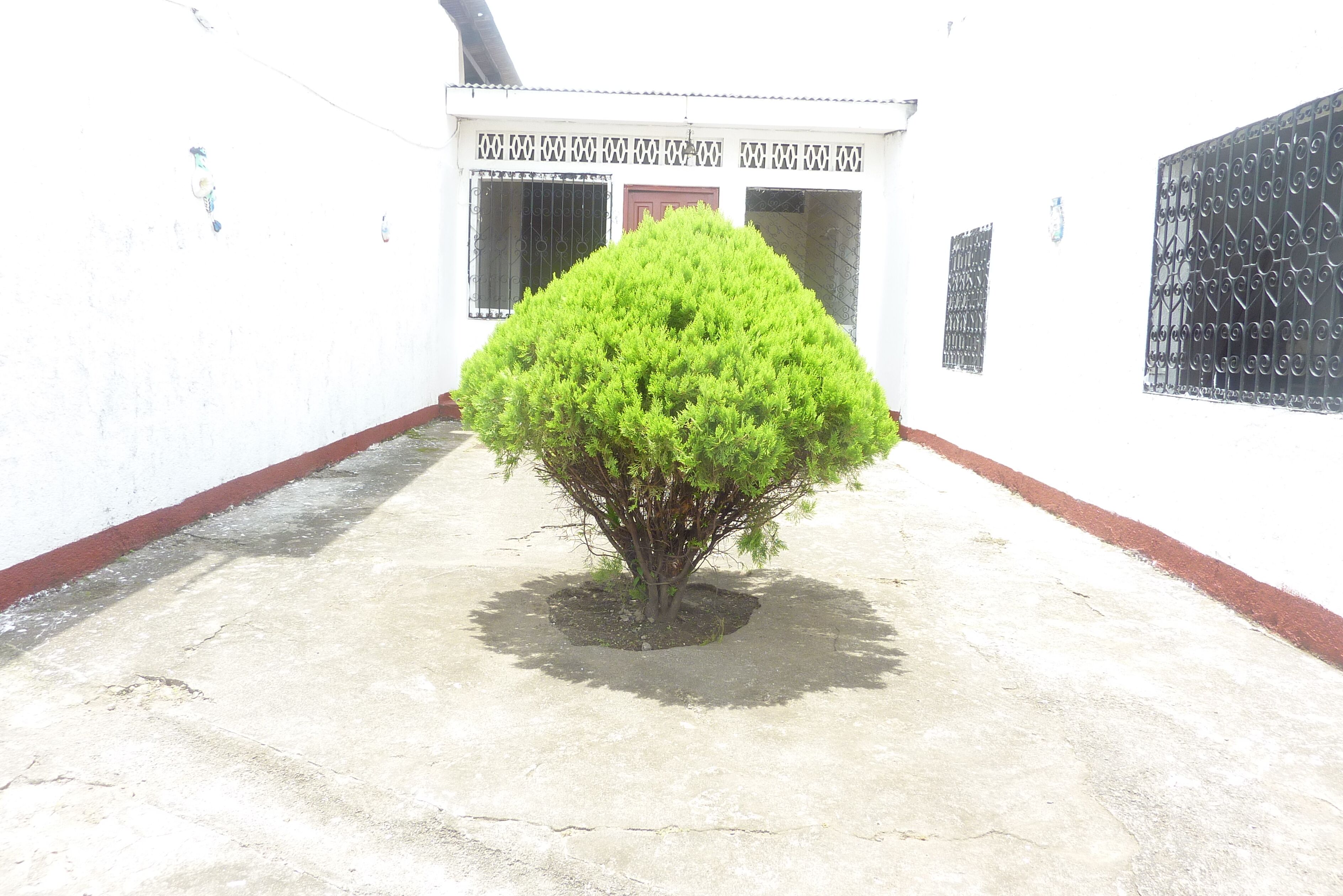 Photo - Hotel Ivania´s