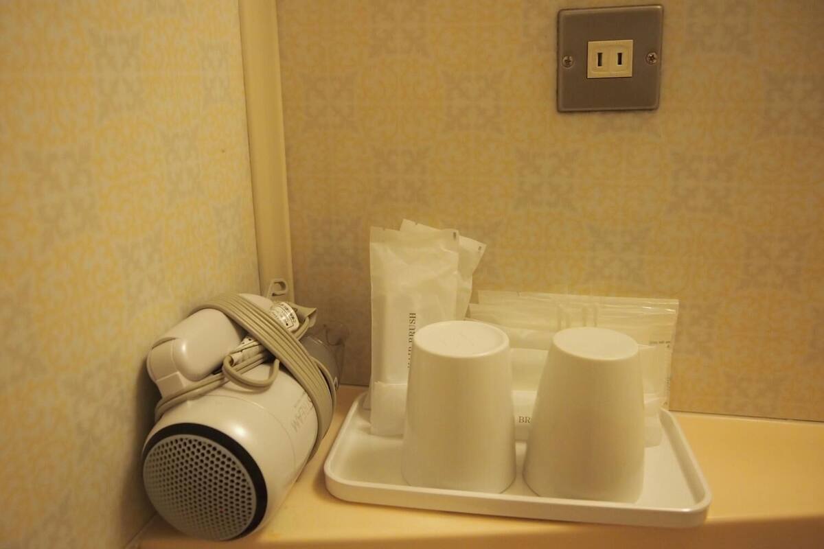 combined shower/bathtub, deep-soaking bathtub, hair dryer, slippers