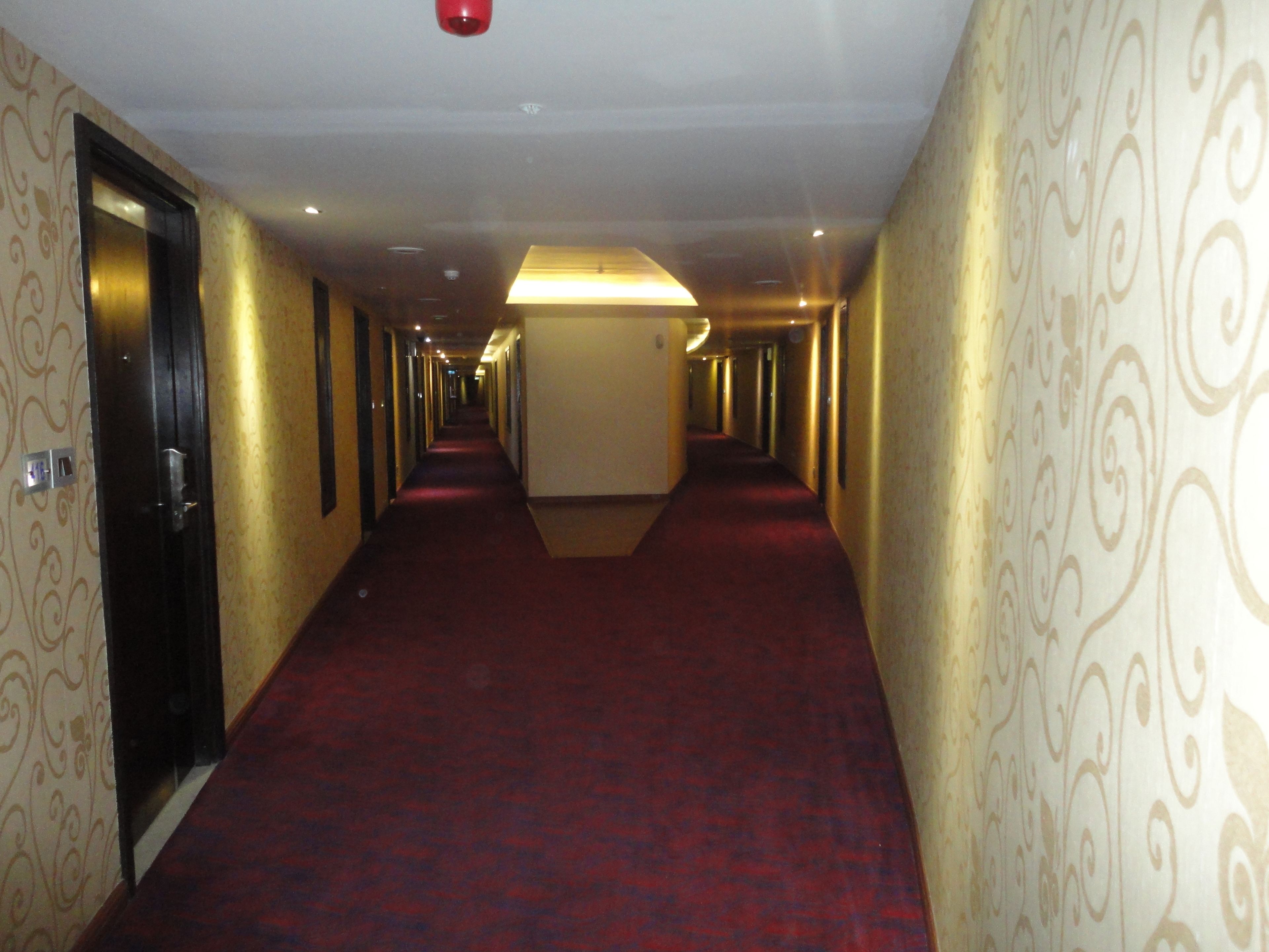 A long, narrow hotel corridor with patterned walls and a red carpet.