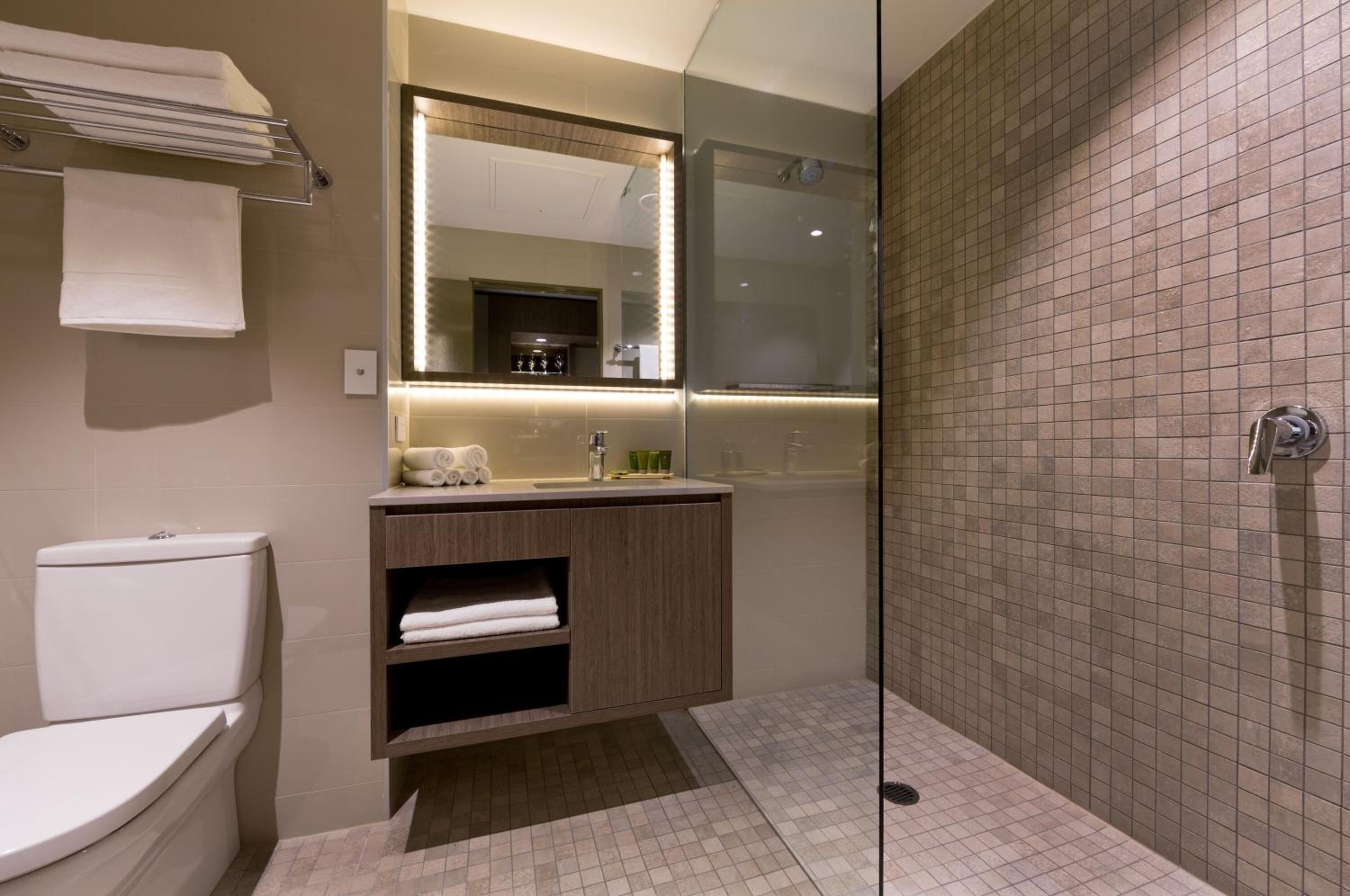 shower, free toiletries, hair dryer, towels