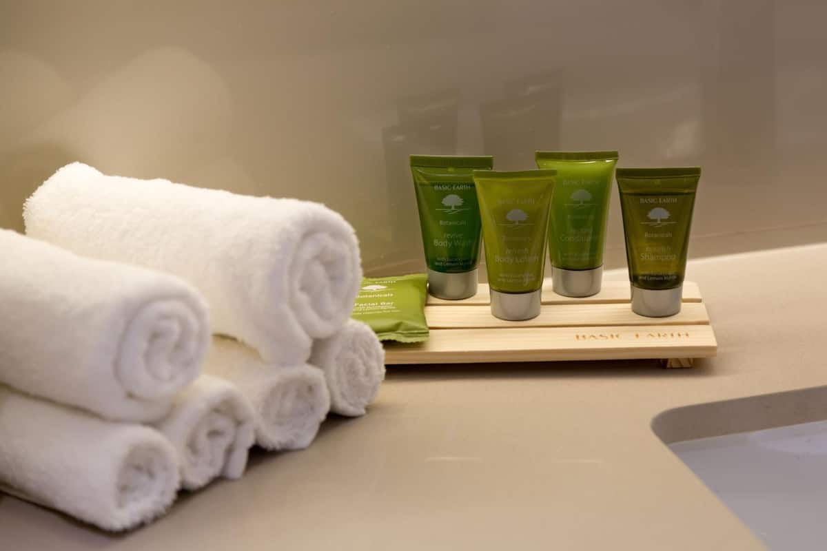 shower, free toiletries, hair dryer, towels