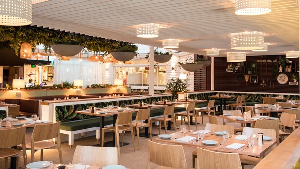 Un restaurant amb interior modern, que destaca per taules i cadires de fusta, llums penjants i una paret vegetal color verd.