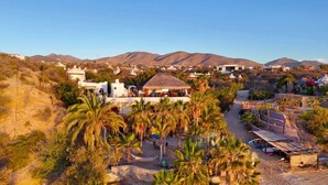Un resort con un edificio central rodeado de palmeras y montañas al fondo.