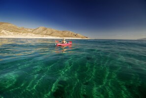 Paseos en bote