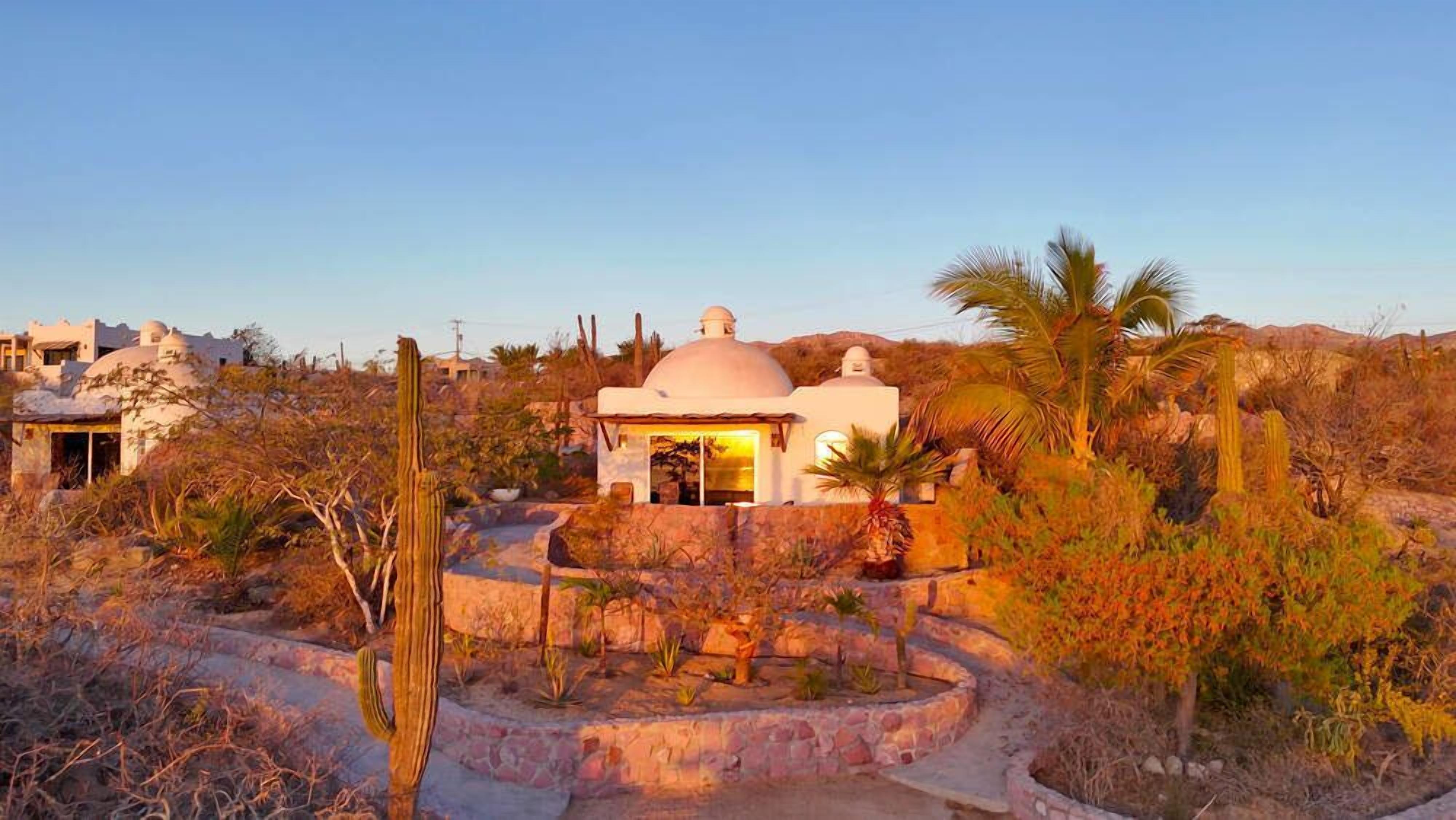 superior cabin, 1 king bed, terrace, ocean view | terrace/patio