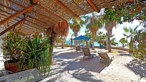 Un espacio de estar al aire libre cubierto, con sillas y mesas, rodeado de palmeras y plantas en macetas.
