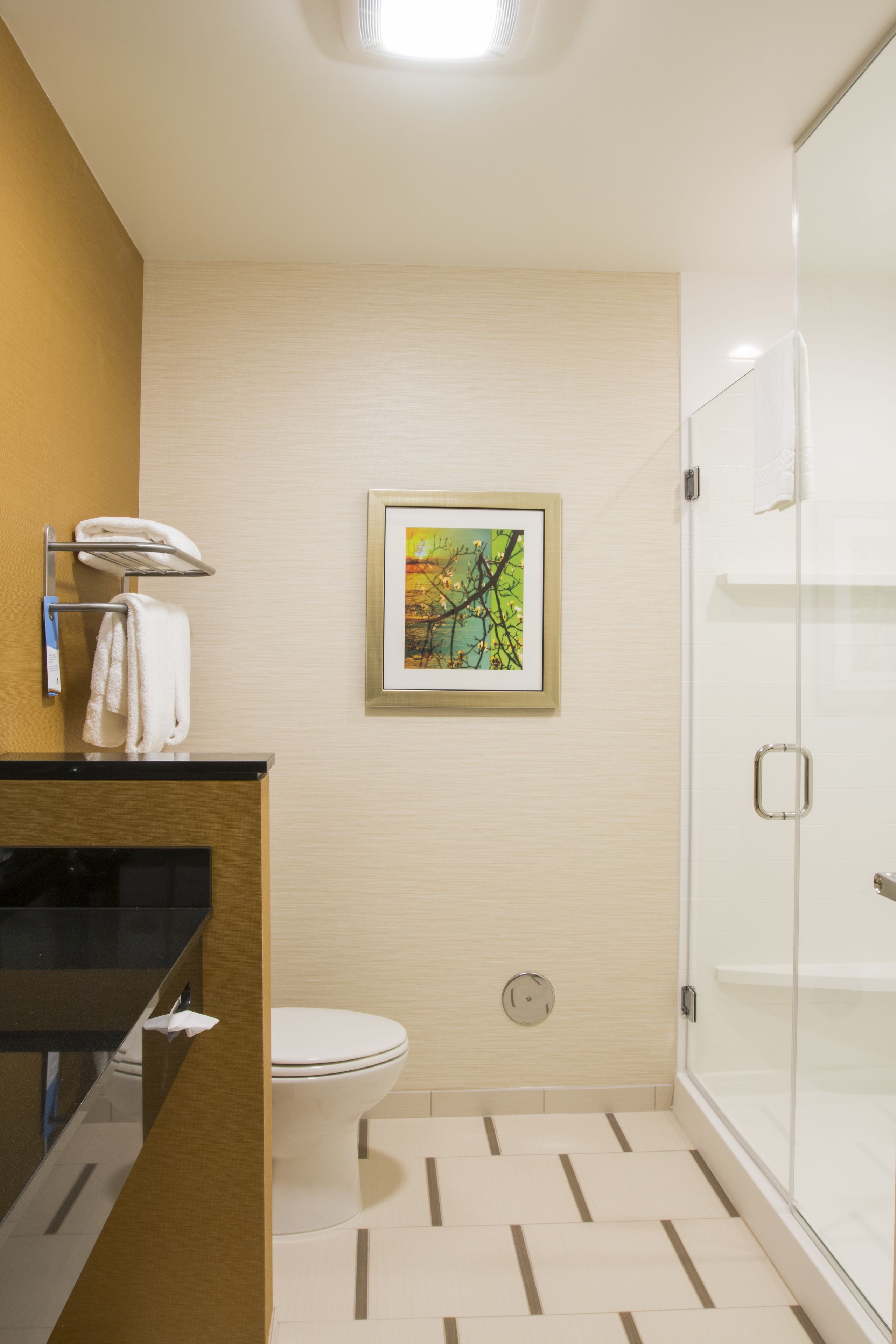 free toiletries, hair dryer, towels