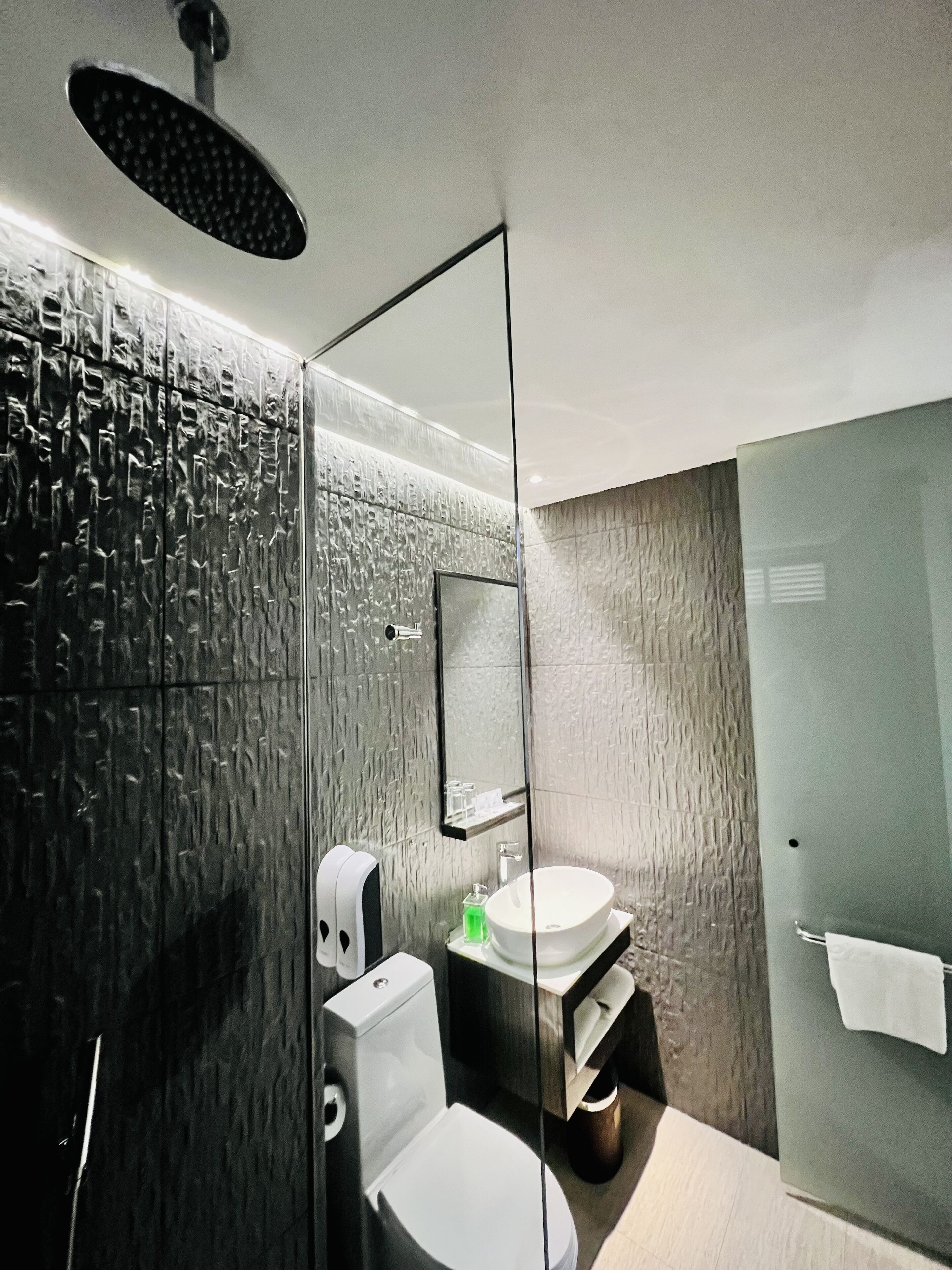 A modern bathroom with a glass shower enclosure, a white toilet, and a vanity with a mirror.