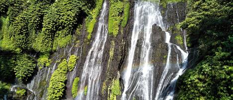 A waterfall cascading down a rocky cliff surrounded by lush greenery.
