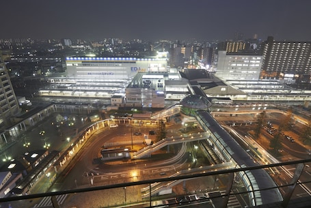 View from property. Hotel Vischio Amagasaki
