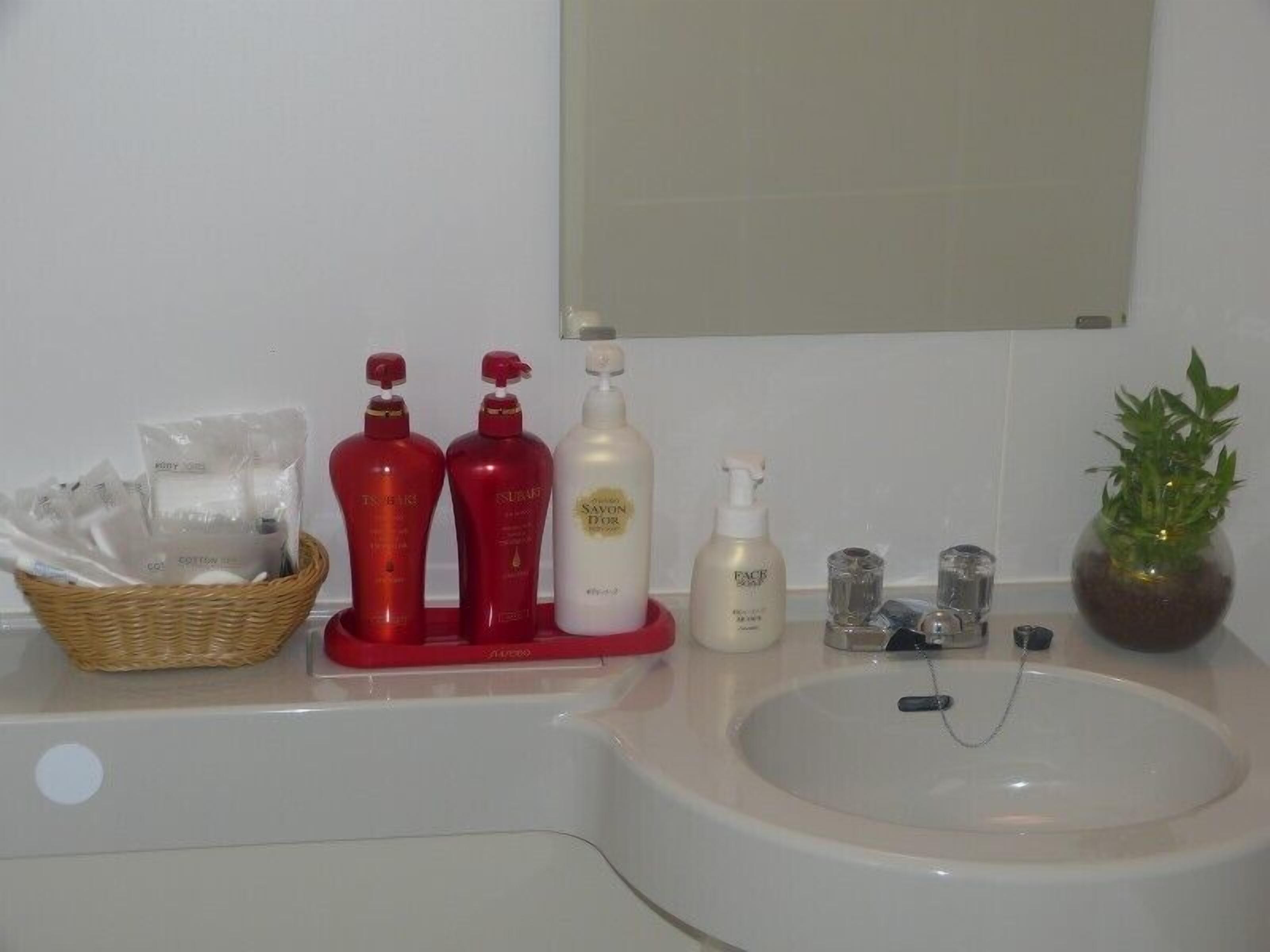 combined shower/bathtub, free toiletries, hair dryer, slippers