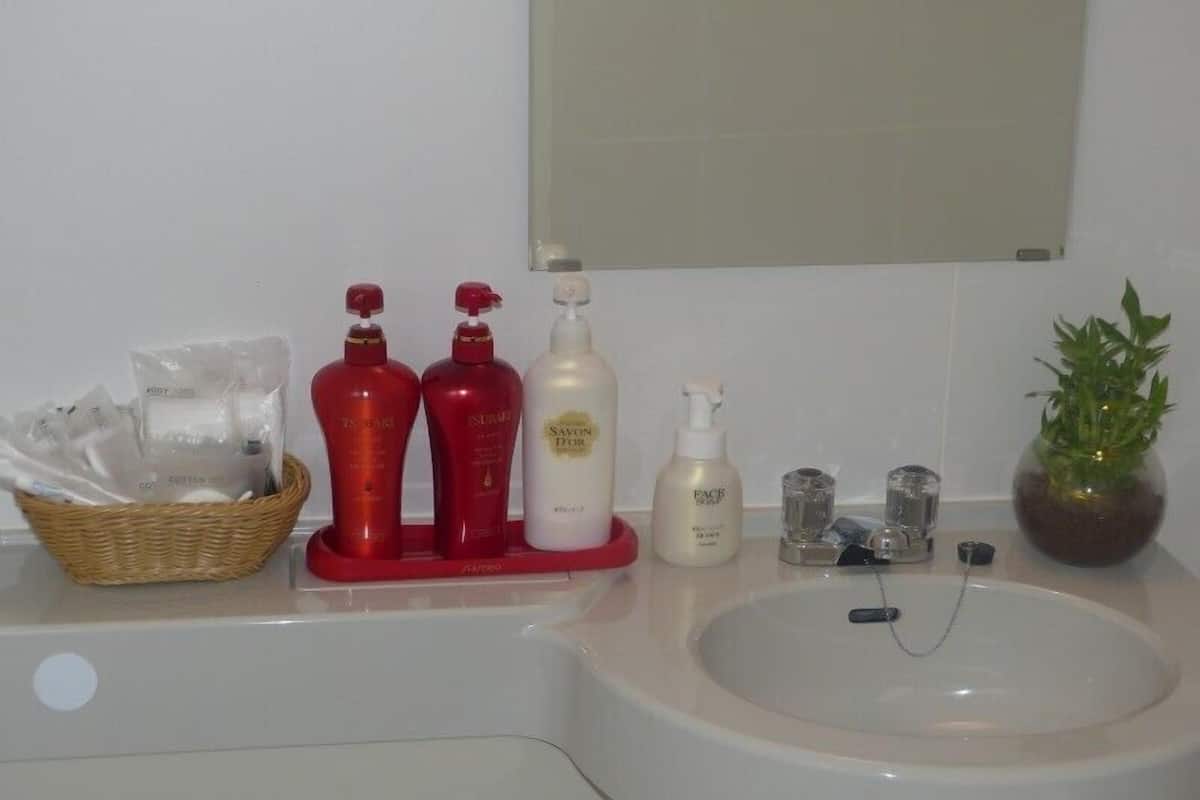 combined shower/bathtub, free toiletries, hair dryer, slippers