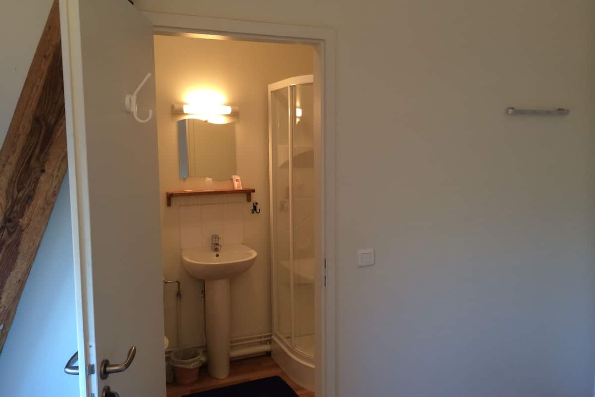 single room | bathroom | shower, hair dryer, towels