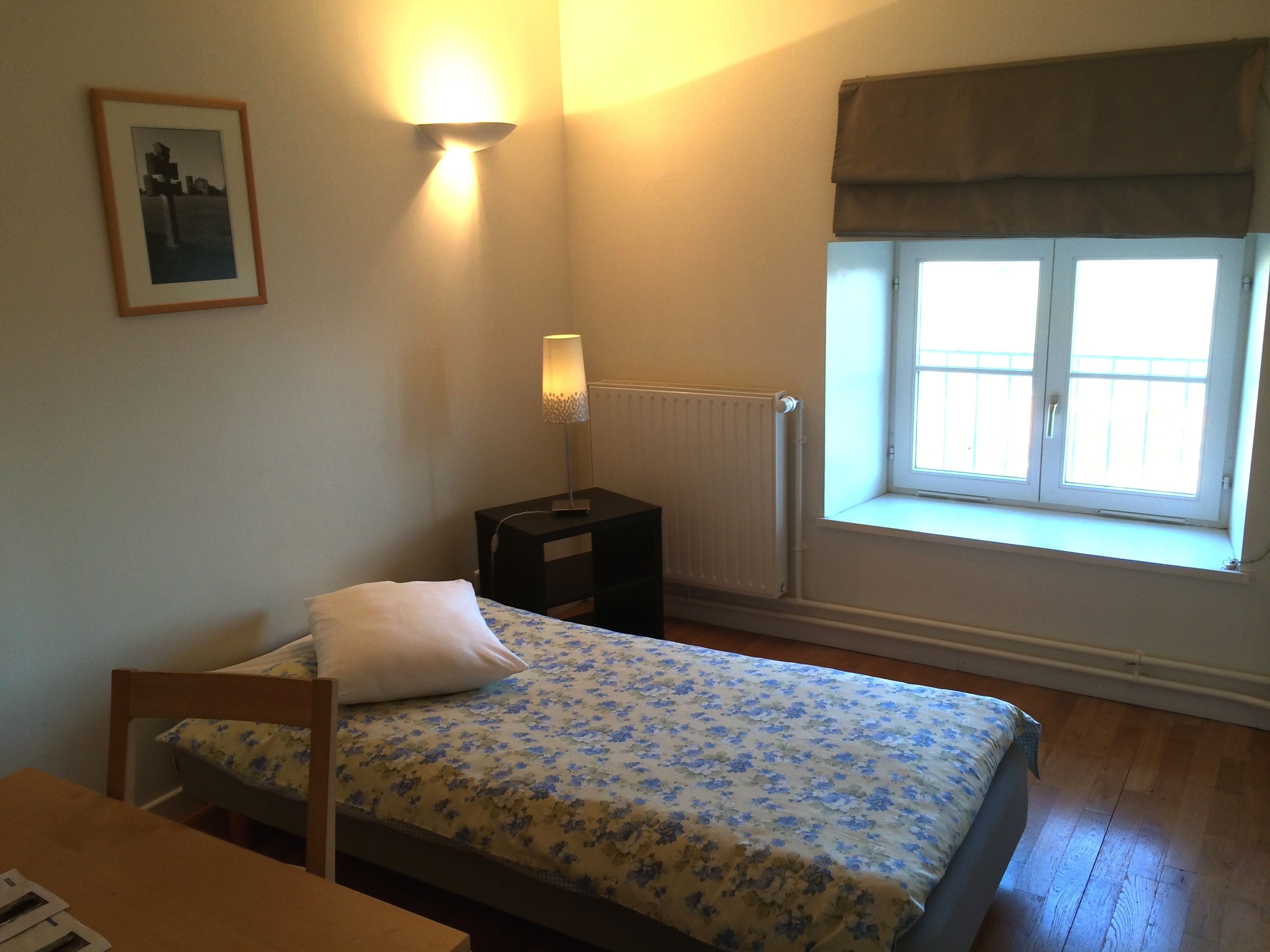 single room | desk, iron/ironing board, free wifi, bed sheets