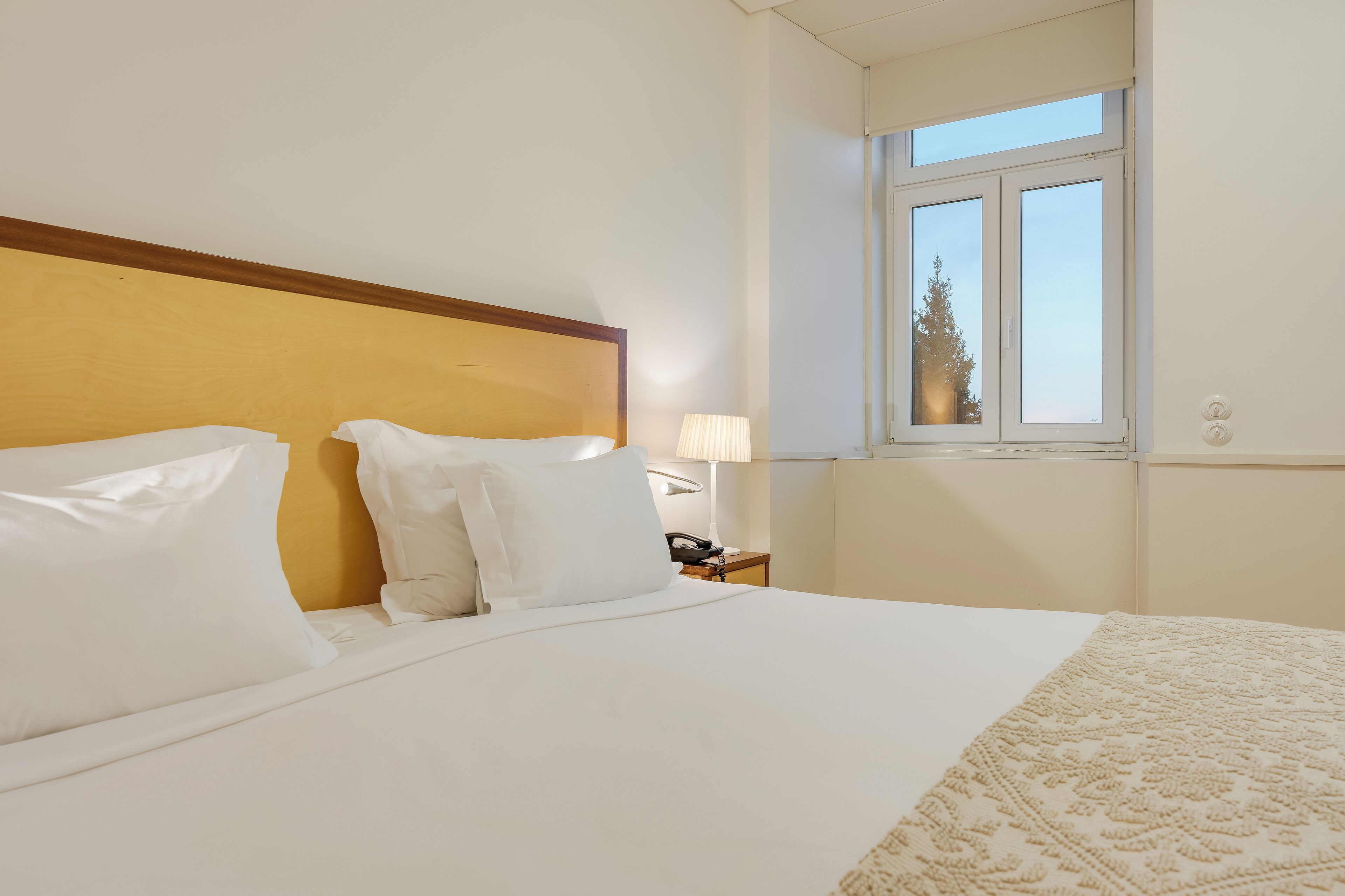A hotel room with a bed, a nightstand with a lamp, and a window with a view of a tree.