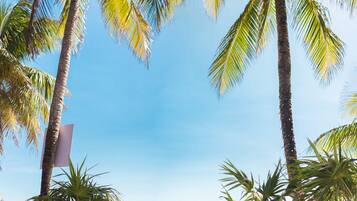 On the beach, white sand, free beach cabanas, sun-loungers