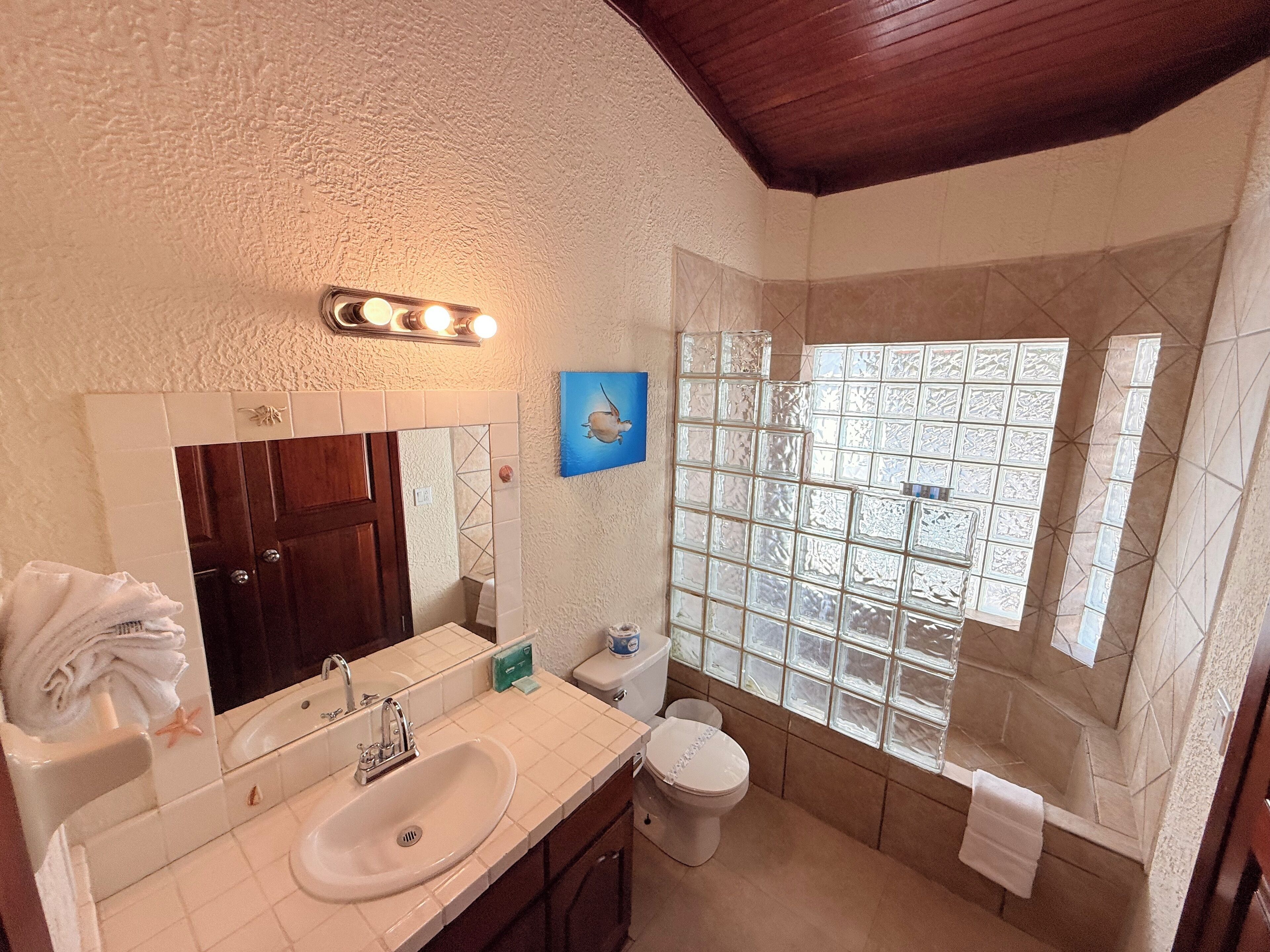 Regadera, amenidades de baño gratuitas, secadora de cabello, toallas 
