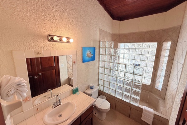 Regadera, amenidades de baño gratuitas, secadora de cabello, toallas