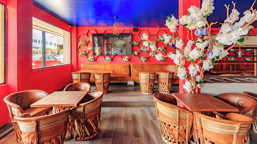 Capital O Hotel Colón Express Guadalajara