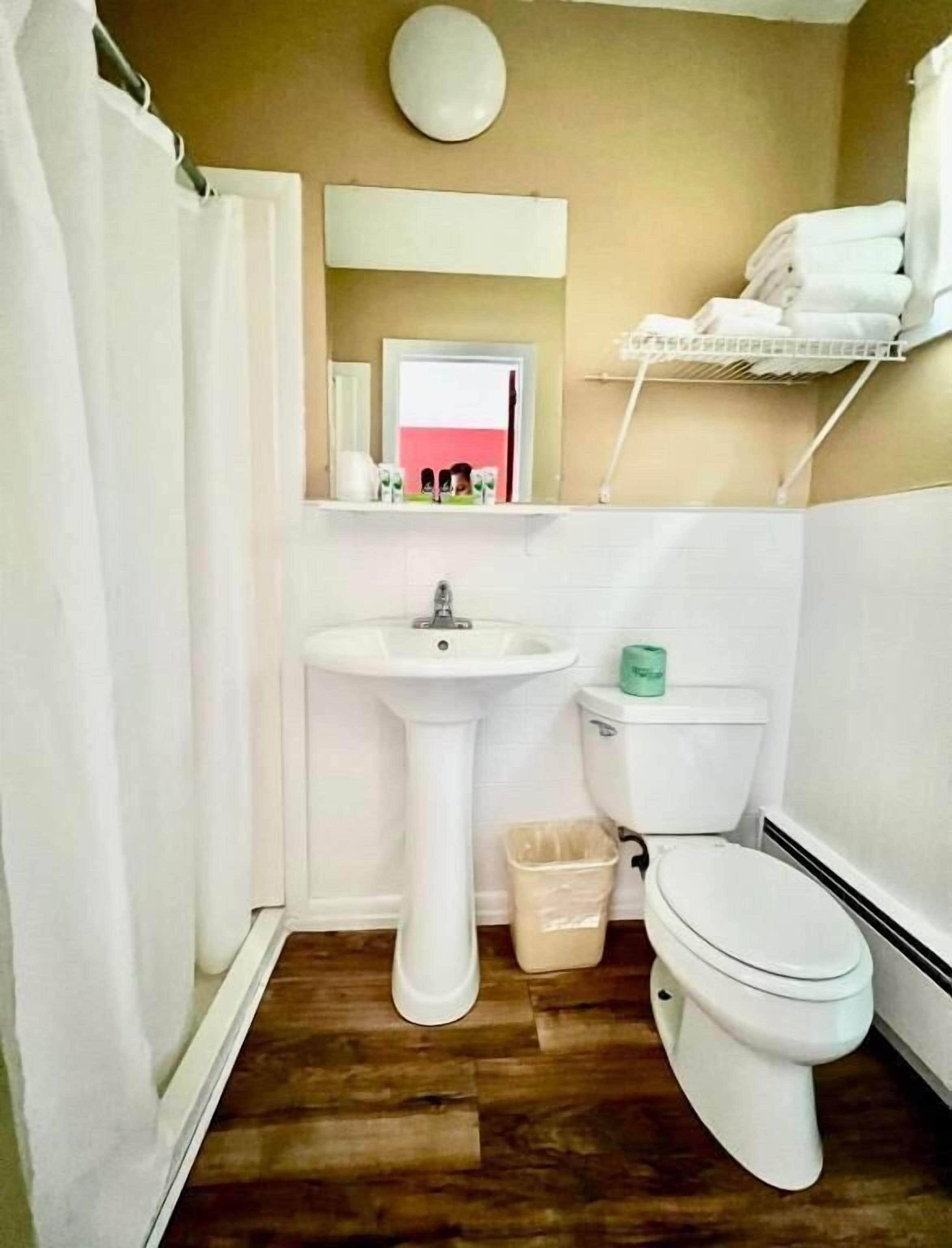 A compact bathroom with a pedestal sink, toilet, and a shower curtain.