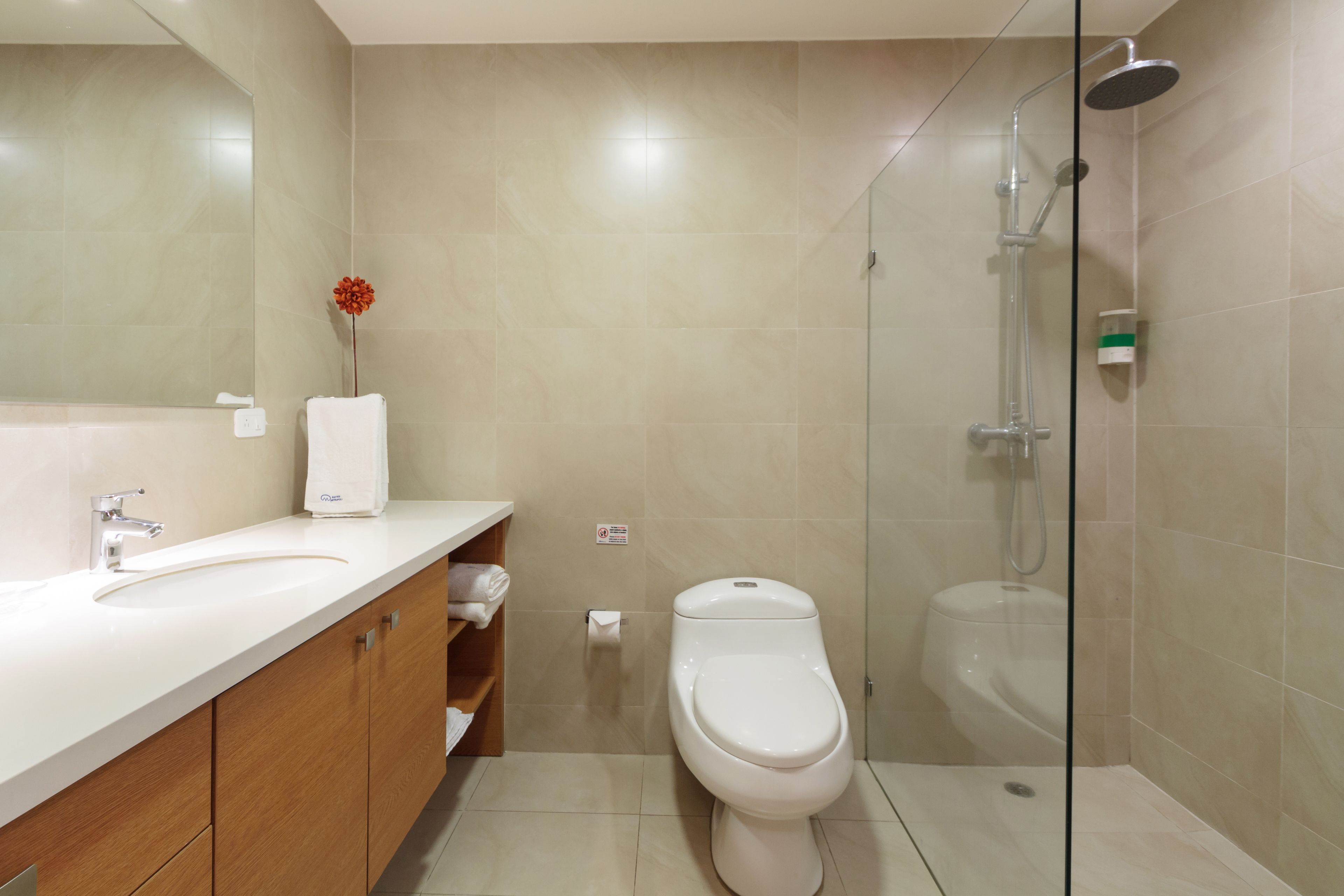 Un bagno moderno con un lavandino bianco, un WC e una cabina doccia in vetro.