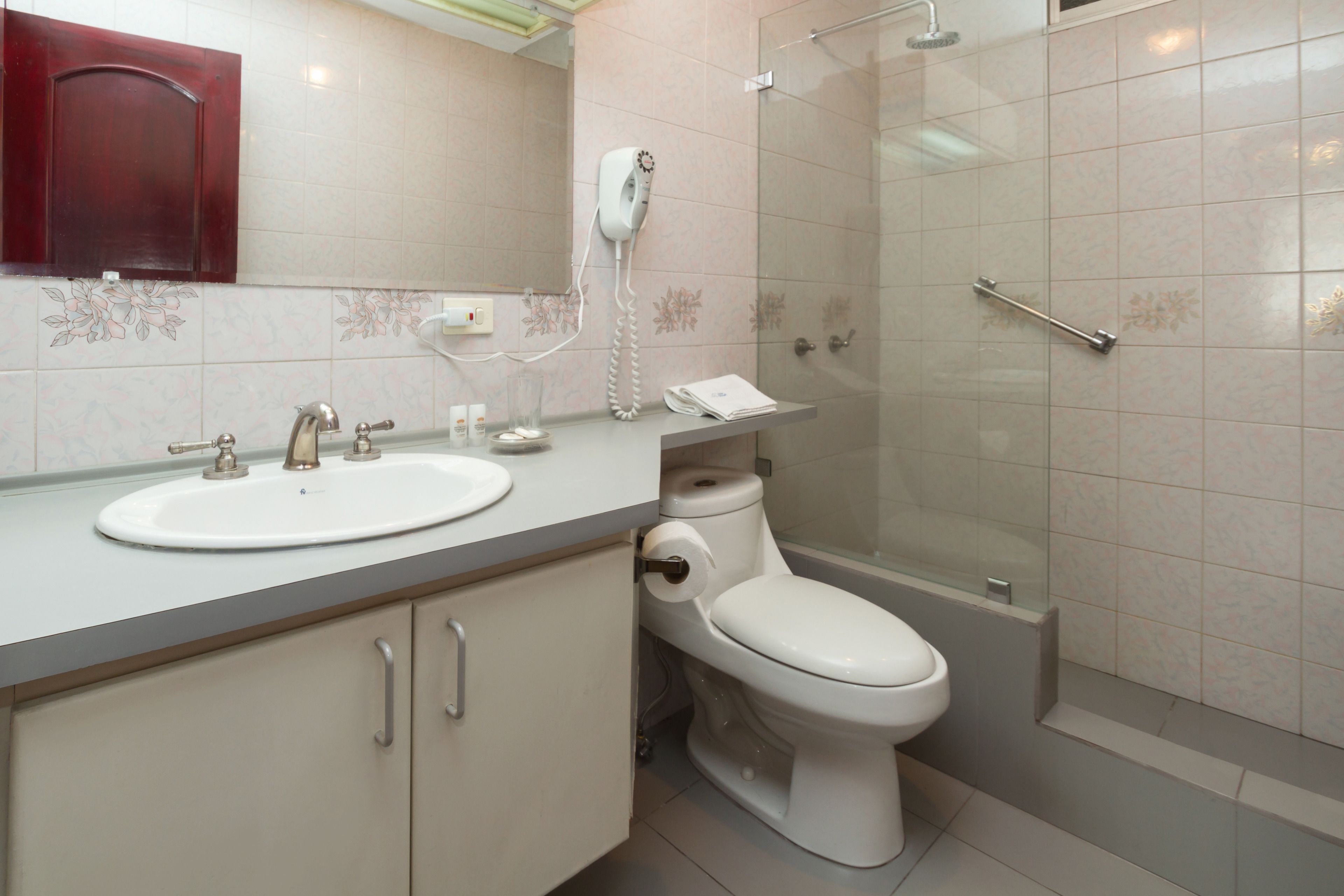 shower, free toiletries, hair dryer, towels