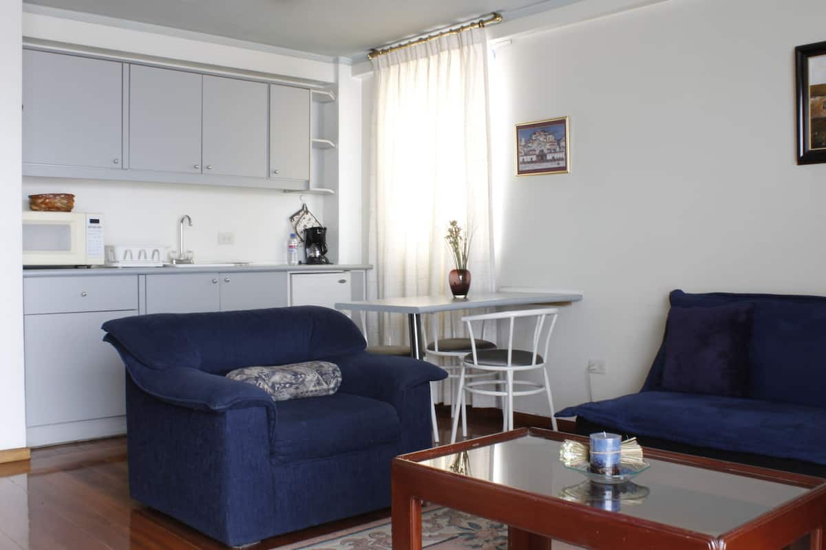 comfort studio suite, city view | living area | flat-screen tv, dvd player, pay films