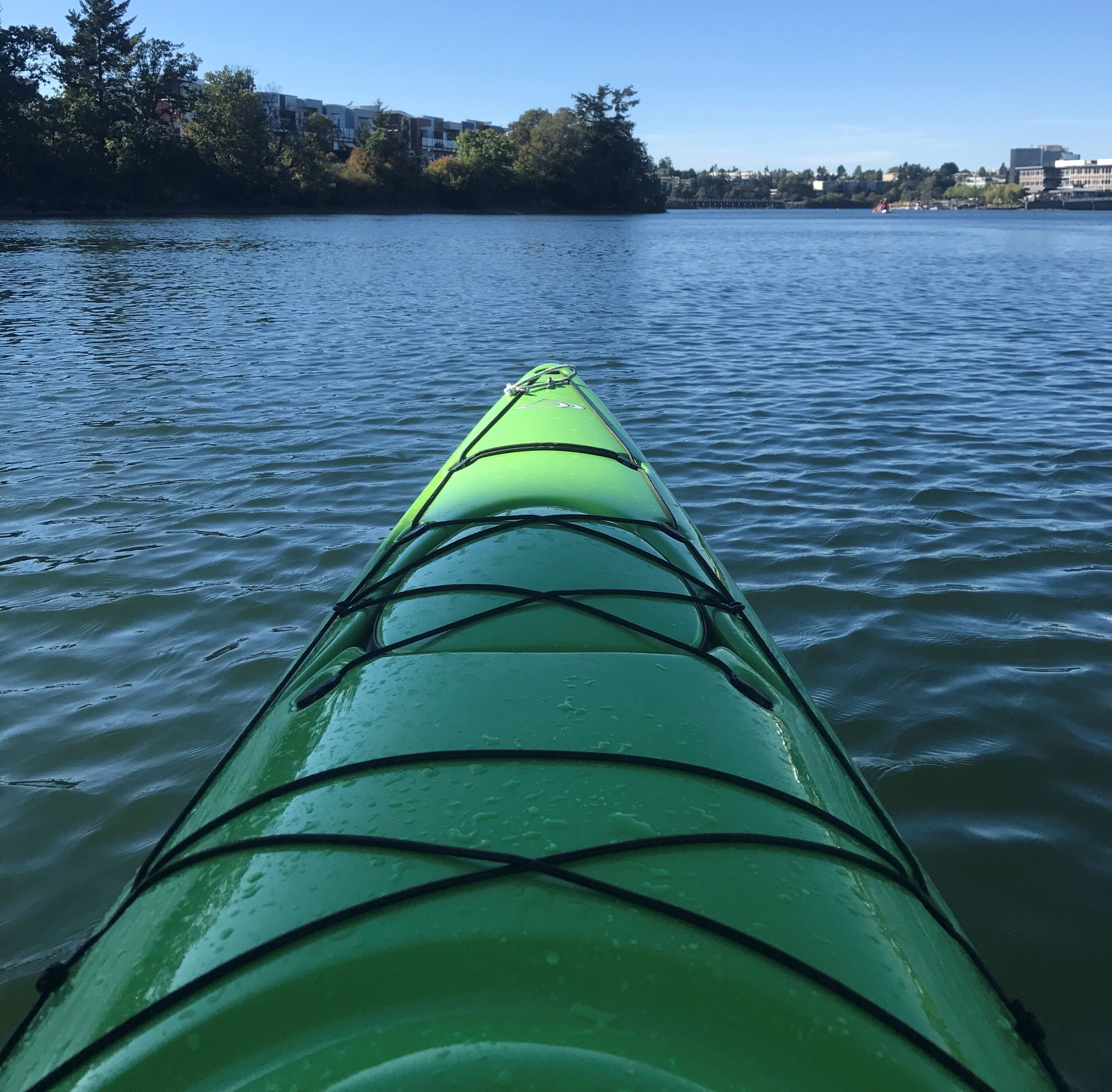 A green kayak on calm water with a clear view of a distant shoreline and buildings.