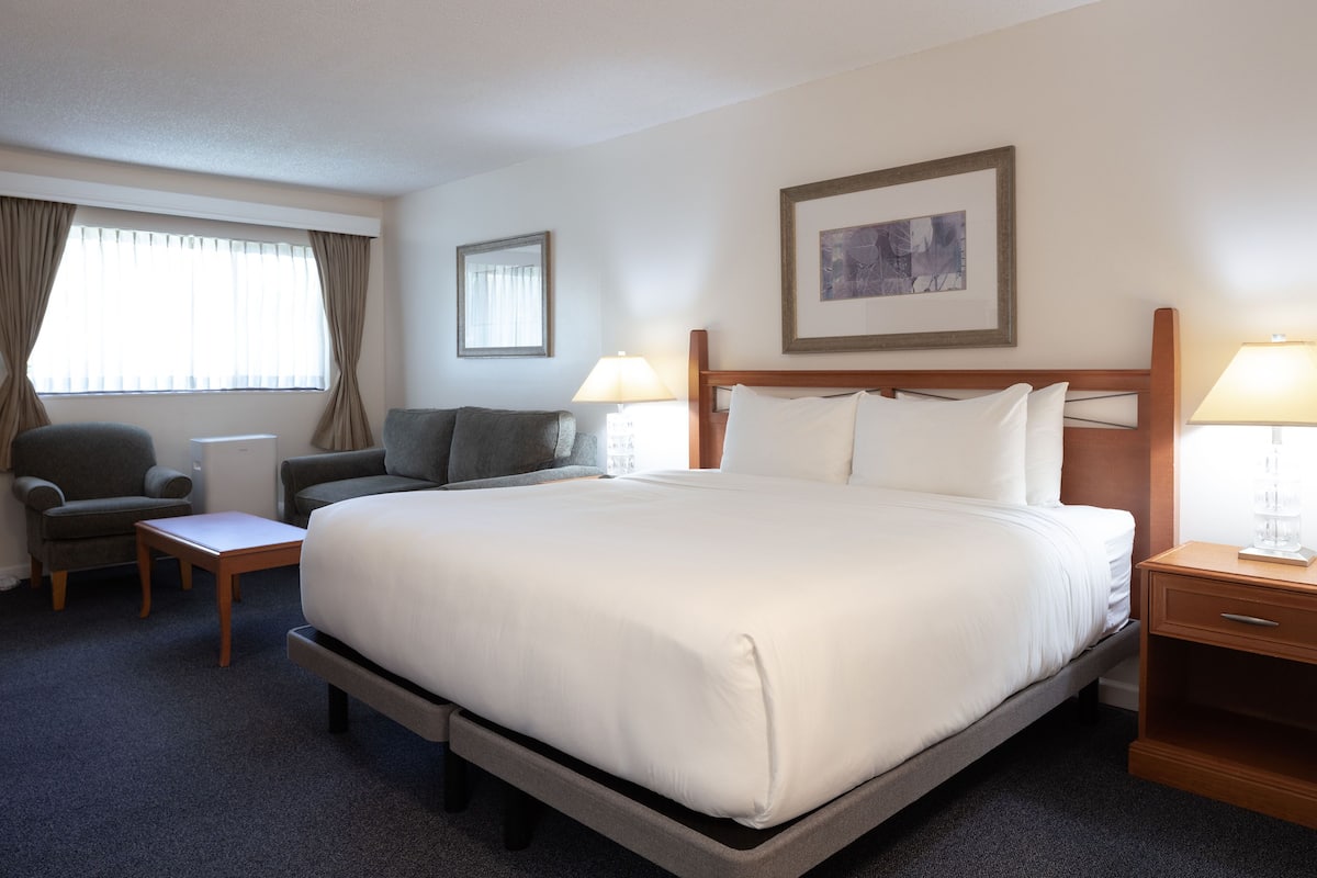A hotel room with a large bed, a desk, a chair, and a sofa.