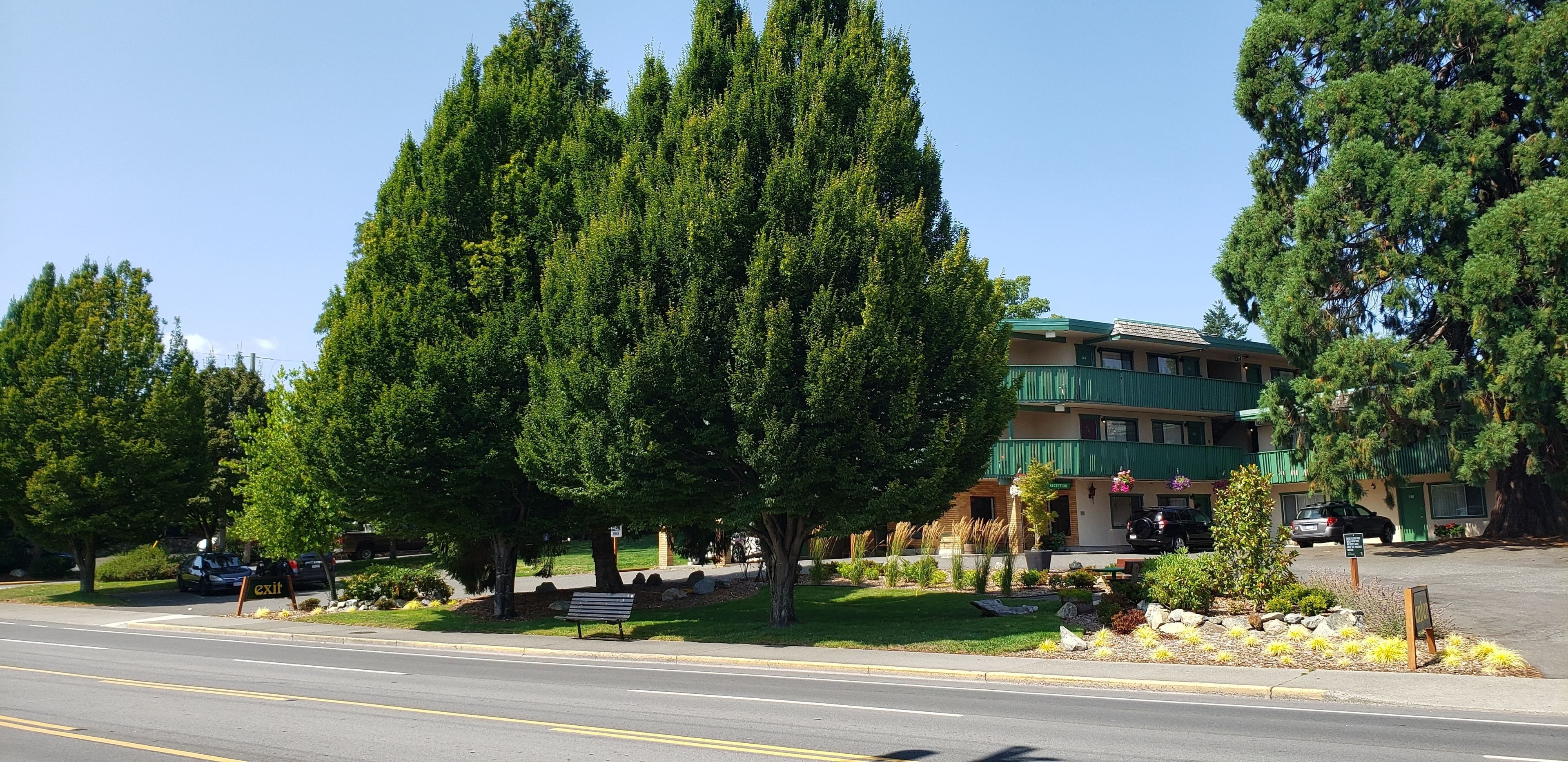 A building with a green roof, surrounded by trees and a well-maintained lawn.