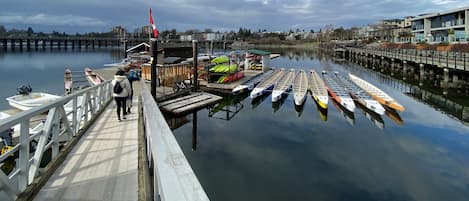 Paseos en kayak