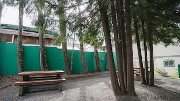 Ein Kiesbereich mit einer Holzbank und Bäumen.