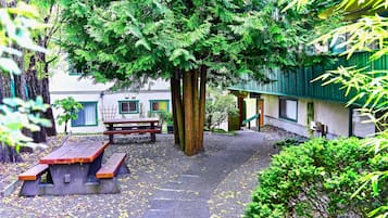 BBQ/picnic area
