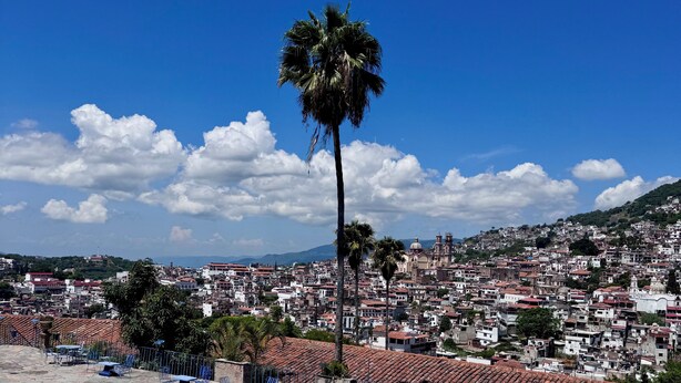 Zona de piscina con sillones de descanso y una palmera, con vistas a un pueblo con tejados de tejas rojas.
