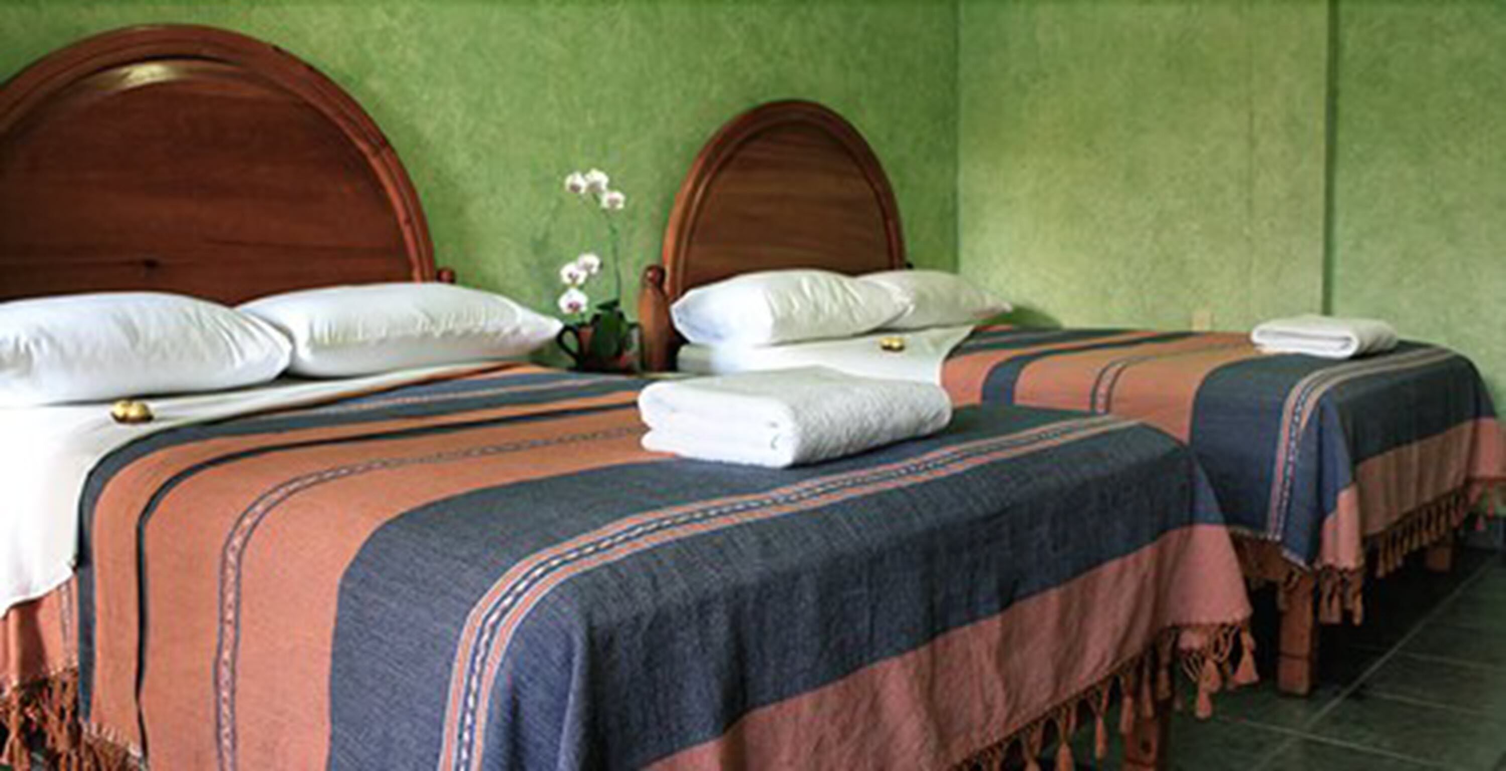 A hotel room with two beds, each with a wooden headboard, a green wall, and a small potted plant.