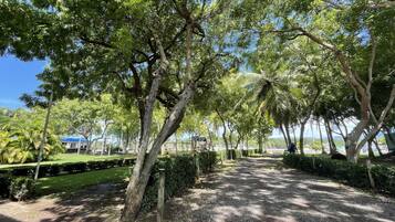 Taman