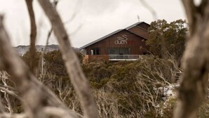 A rustic building with a sloped roof and a balcony, surrounded by dense shrubbery and trees. - Duck Inn Mt Buller (Mount Buller)