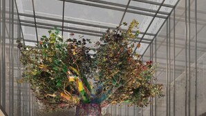 Un interior moderno con una estructura grande, colorida y con estampado, similar a un árbol, rodeada de cojines estampados y un piso de mármol.