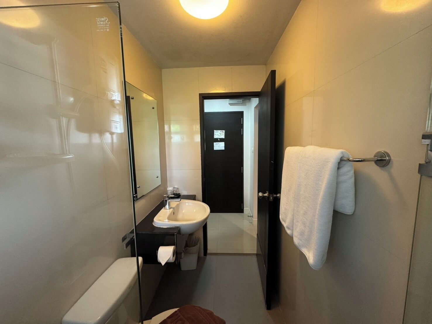 A modern bathroom with a glass shower enclosure, a sink with a mirror, and a toilet.