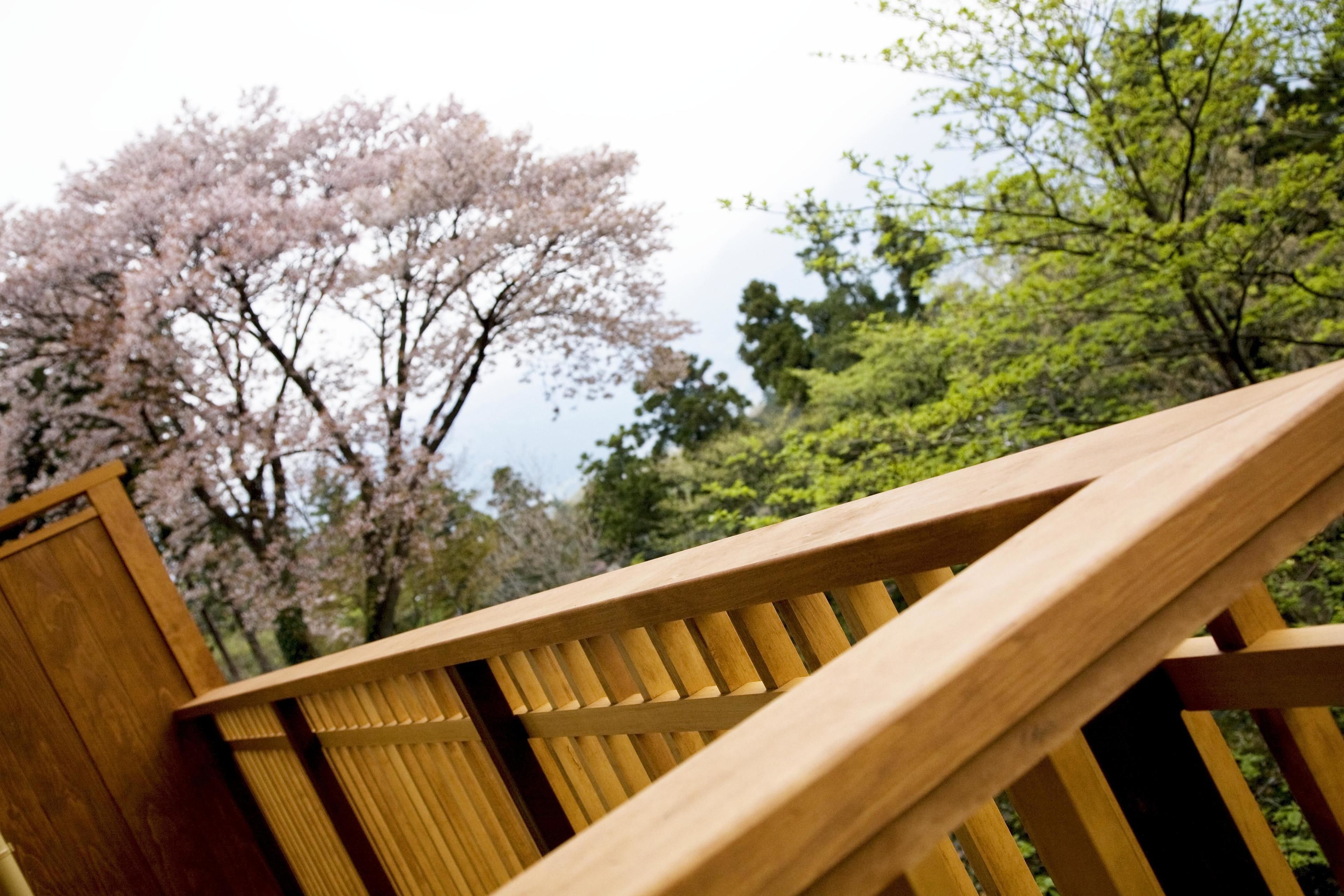 Una escalera de madera con vistas a árboles de cerezo en flor.
