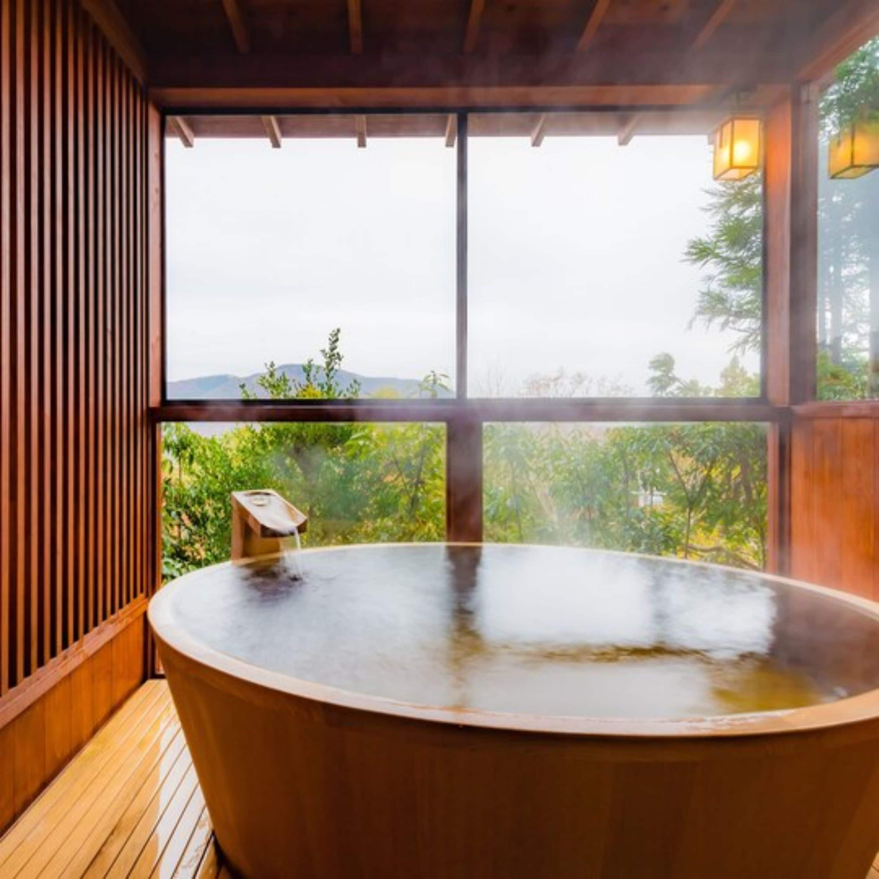 J/W Room,Kuzuryu-MainB-including Kaiseki dinner and Japanese set breakfast(both with fish & seafood) | Bathroom | Combined shower/tub, spring water tub, free toiletries, hair dryer