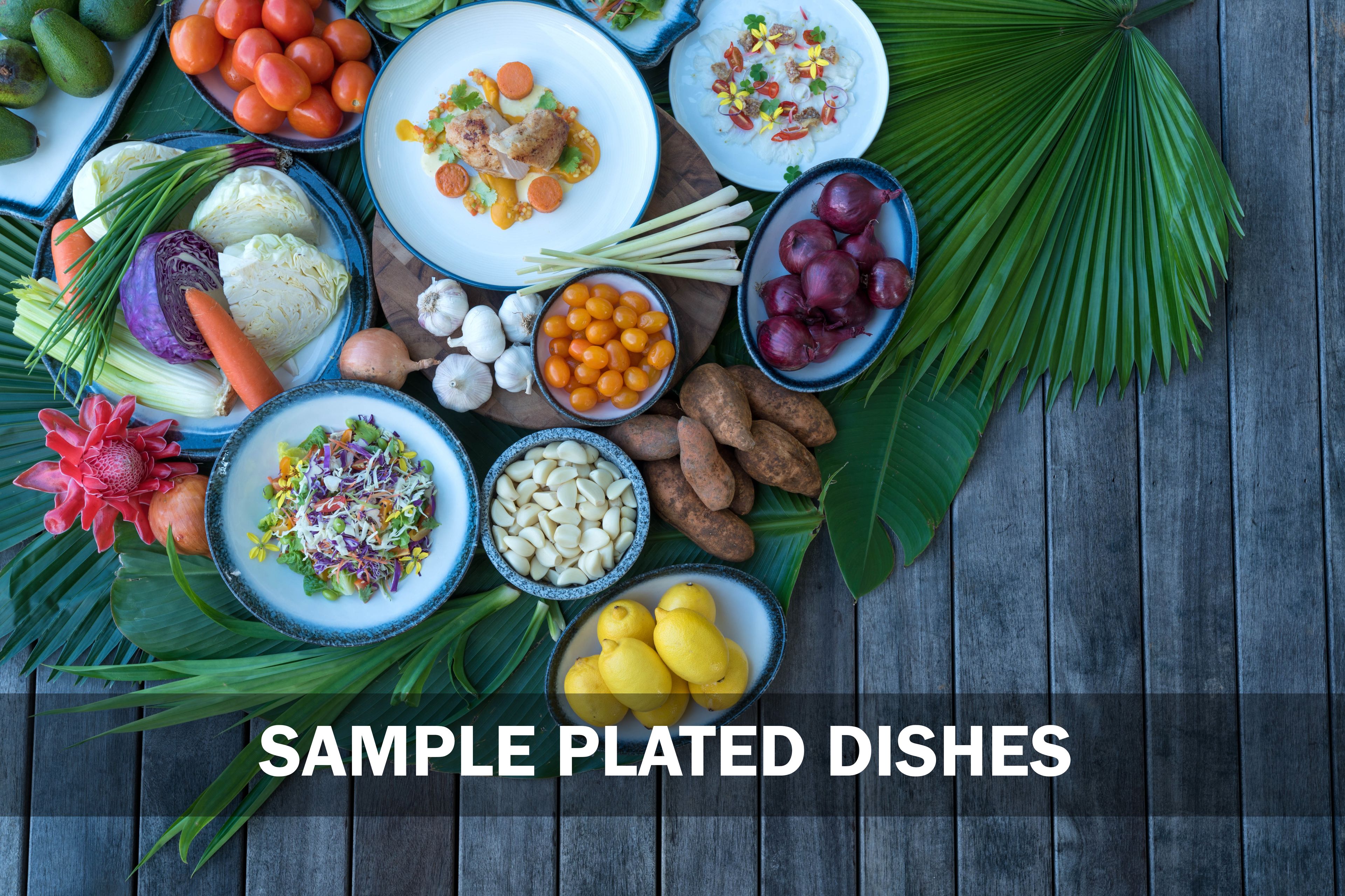 A variety of sample plated dishes arranged on a wooden surface with tropical leaves.