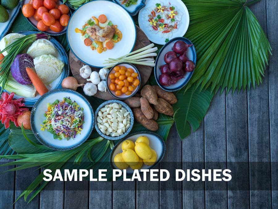 A variety of sample plated dishes arranged on a wooden surface with tropical leaves.