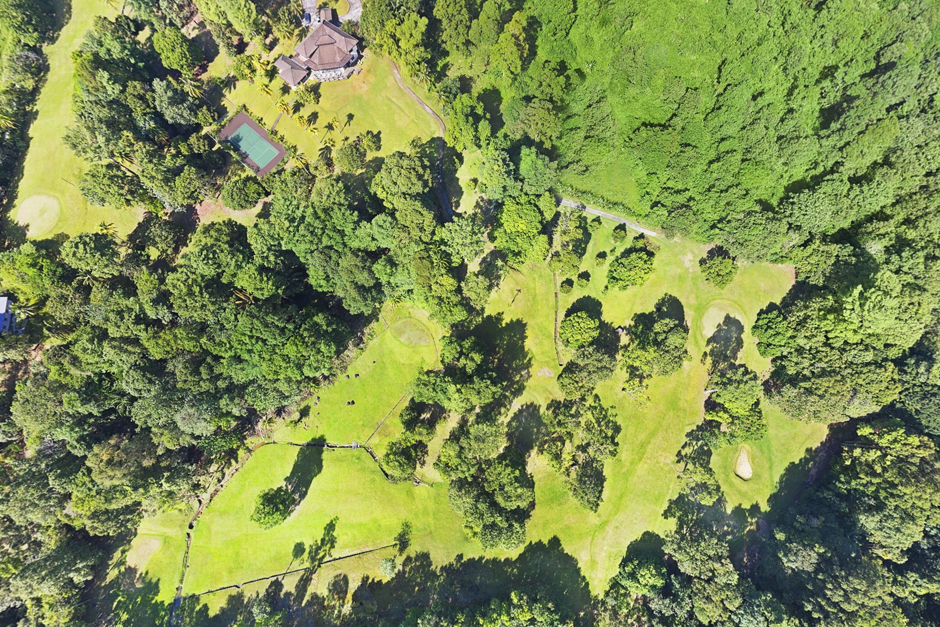 An aerial view of a golf course with multiple green areas, trees, and a small building.