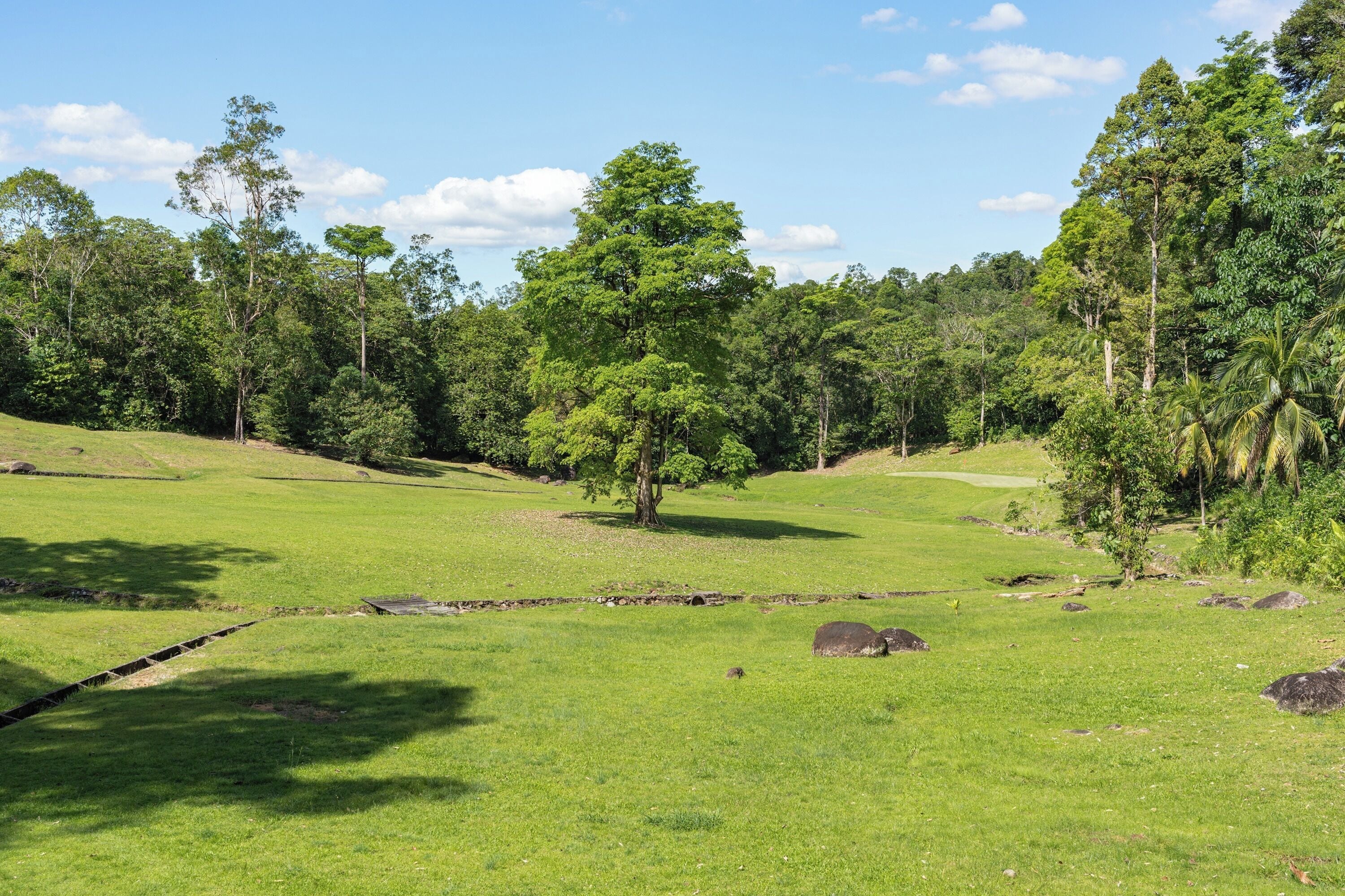 A grassy field with trees and a clear sky.