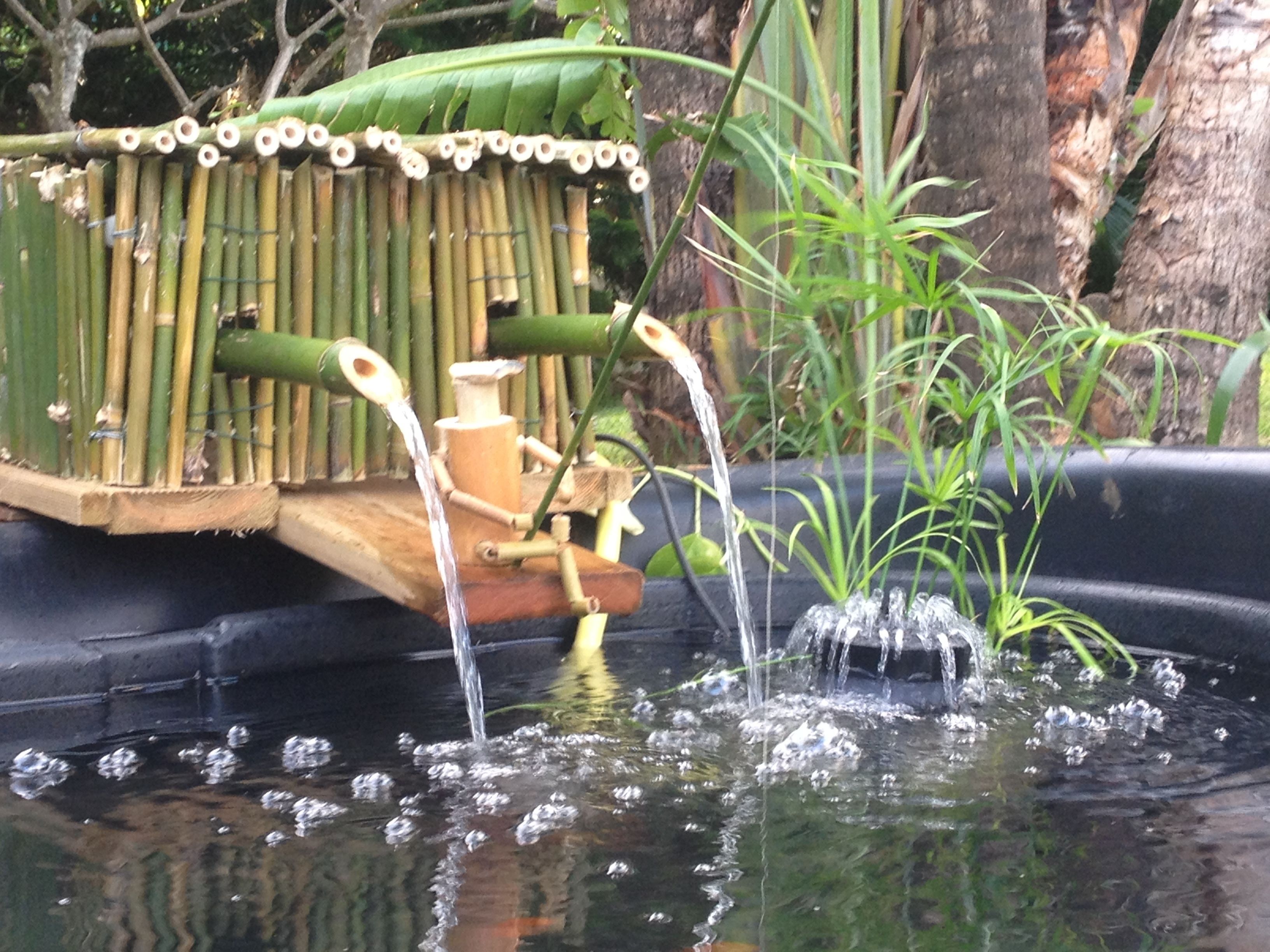 Foto - La Rose du Sud