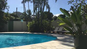 A swimming pool with a tiled edge, surrounded by palm trees and lounge chairs.