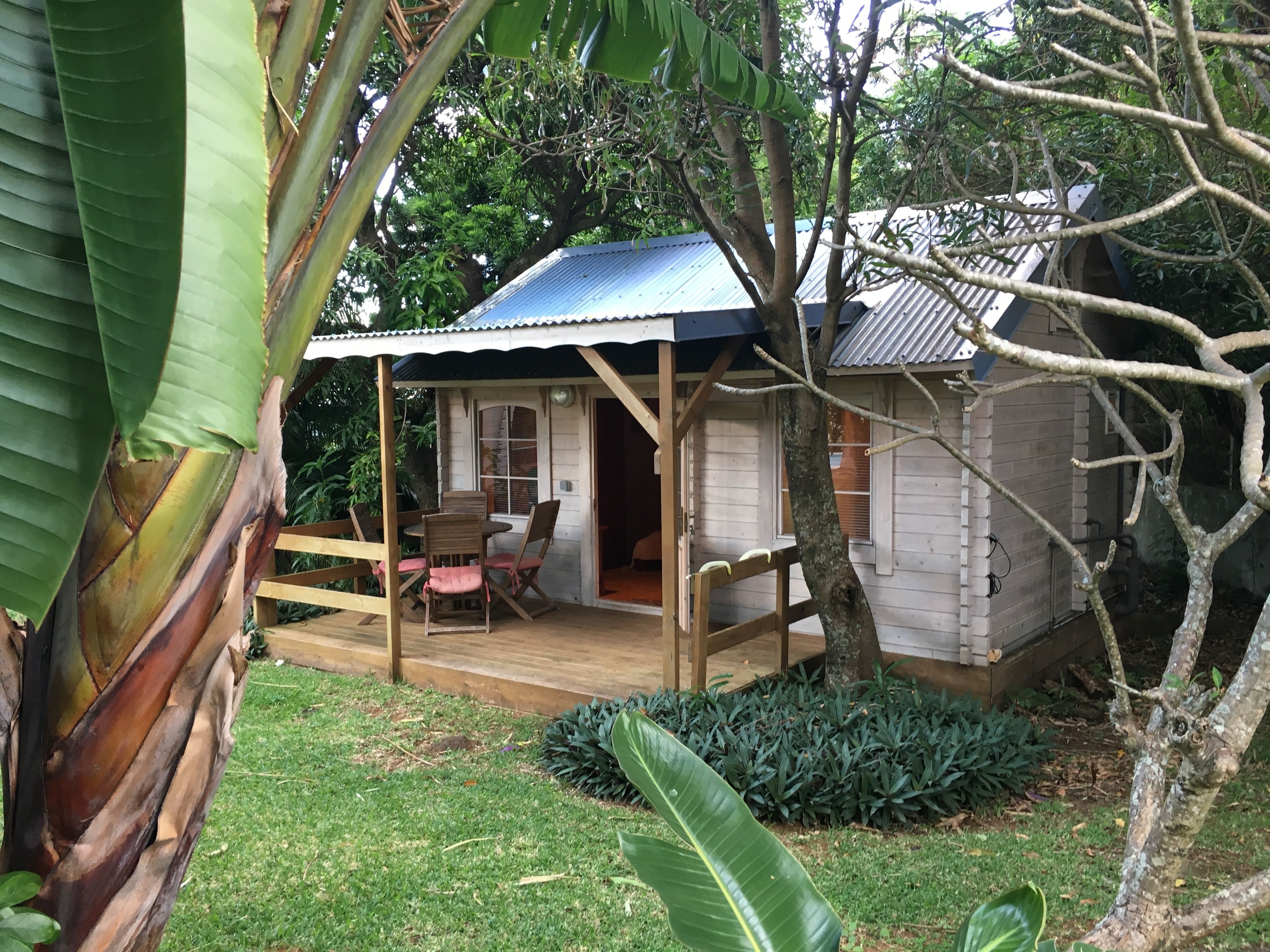 Foto - La Rose du Sud